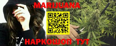сатива Бузулук